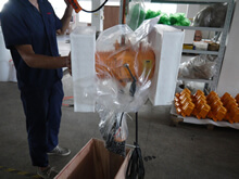 Le principe de fonctionnement du palan électrique antidéflagrant