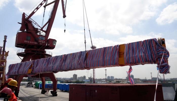 Overhead Crane delivery